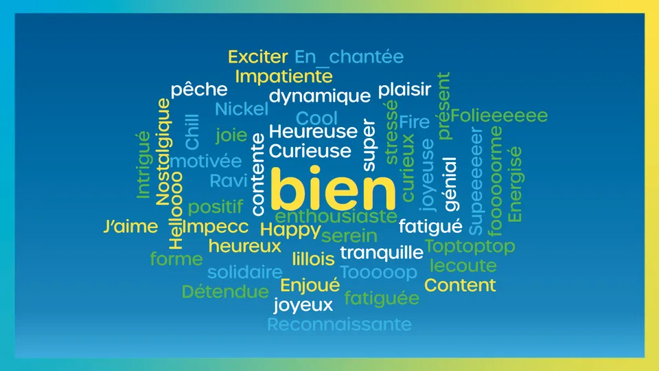 Module Nuage de mots — humeur des participants formant le mot « bien »